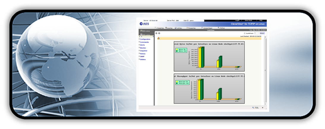 CleverView for TCP/IP on Linux Process Report